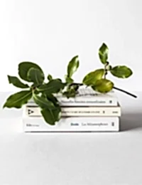 Lifestyle by Garanti BBVA American Express