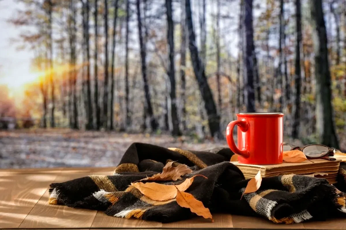 Analog Hobiler Ekransız Yaşam Rehberi ve Aktivite Önerileri